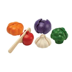 PlanToys Gemu00fcse 5-farbiges-Set