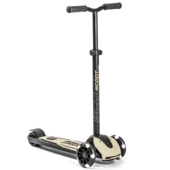 Scoot and Ride Kickboard Highwaykick 5 LED ash